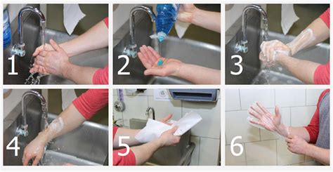 What is a Correct Step for Handwashing Food Handlers? And Should We Be More Critical of Traditional Hygiene Practices?